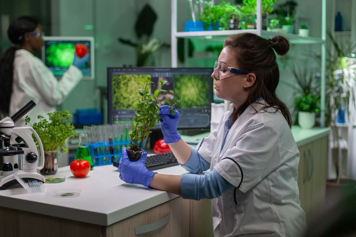 Biotecnólogo