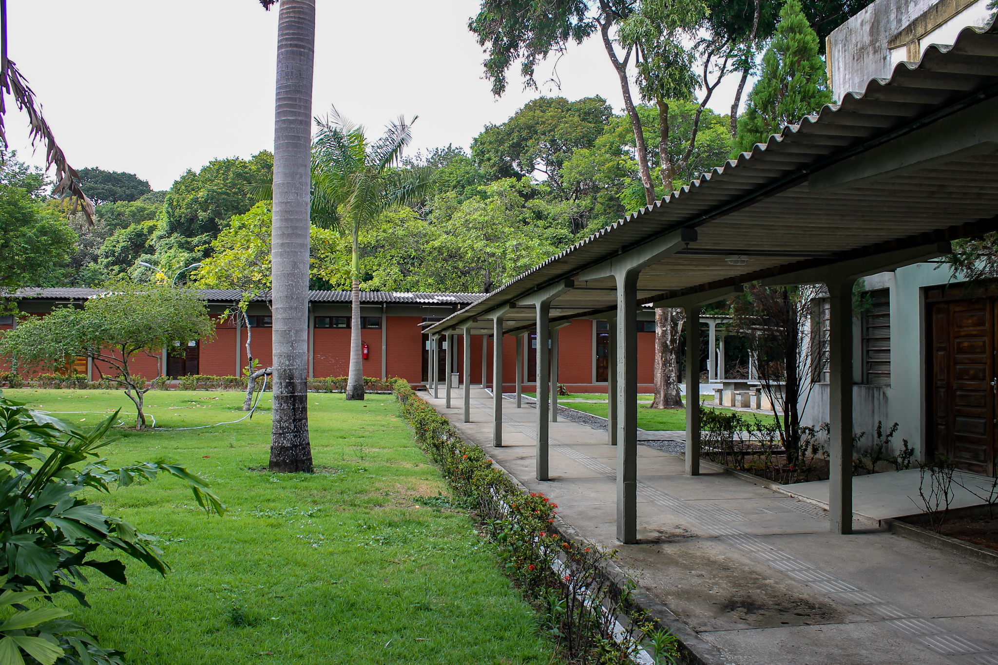 Imagem notícia 2